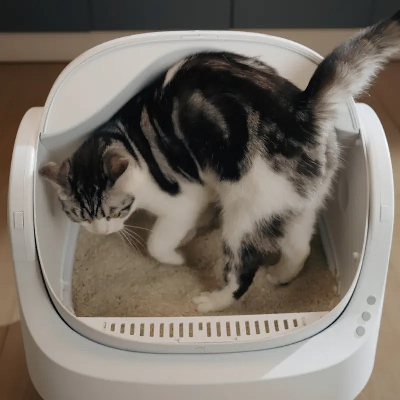 Open-Top Automatic Self-Cleaning Cat Litter Box with Odor Control, Pull & Wrap Waste Disposal, Sealed Drawer, 14-Day Scoop-Free, 6.5L & 7L Capacity