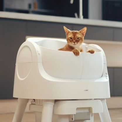 Open-Top Automatic Self-Cleaning Cat Litter Box with Odor Control, Pull & Wrap Waste Disposal, Sealed Drawer, 14-Day Scoop-Free, 6.5L & 7L Capacity